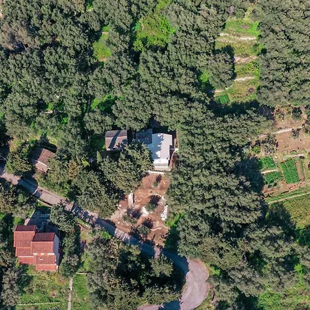 Amaryllis Seaview House By Guestcorfu * Paramonas (Corfu)